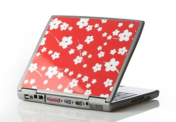 Cherry-Blossoms.jpg