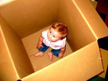 augs in a box.jpg