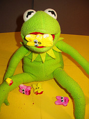 palgue2.jpg