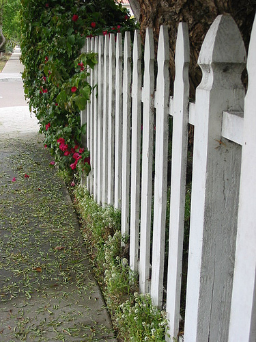 picket fence.jpg